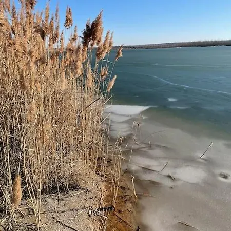 Tiny Oskar 100m Entfernt Zum