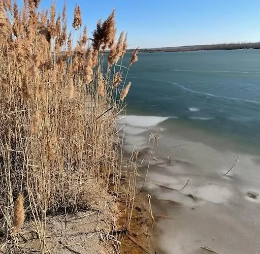 Tiny Oskar 100m Entfernt Zum
